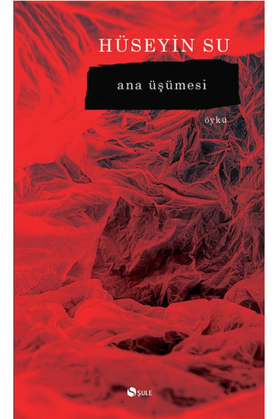 Şule Yayınları Öykü Kitapları