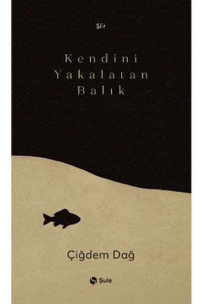 Şule Yayınları Şiir Kitapları