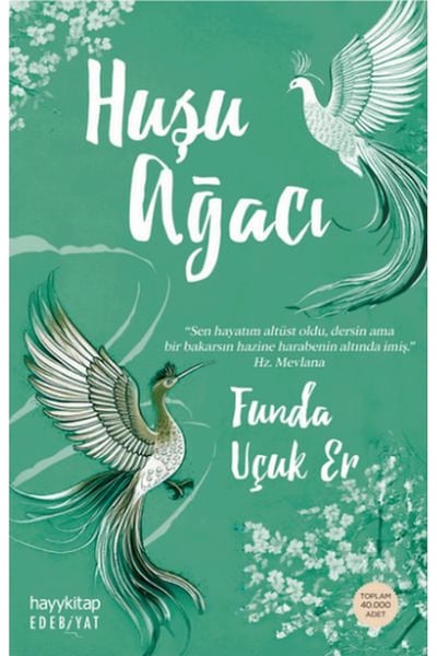 HAYY KİTAP Roman Kitapları
