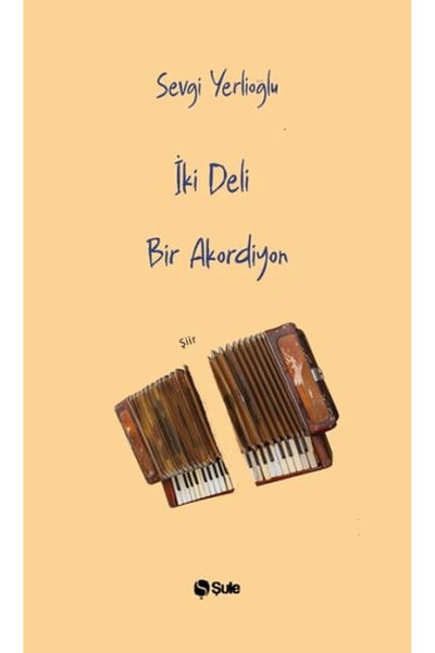 Şule Yayınları Şiir Kitapları