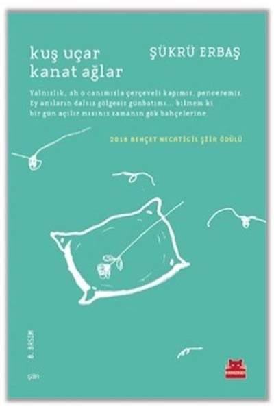 Kırmızı Kedi Yayınevi Şiir Kitapları