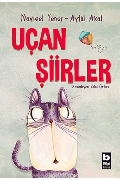 Bilgi Yayınevi Şiir Kitapları