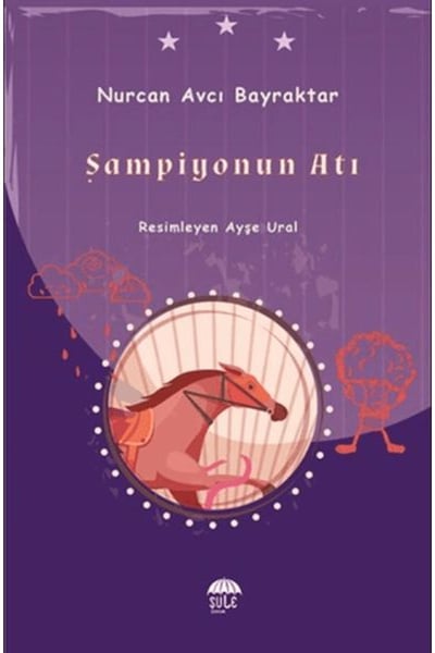 Şule Yayınları Roman Kitapları