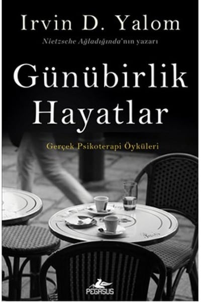 Pegasus Yayınları Deneme, İnceleme Kitapları