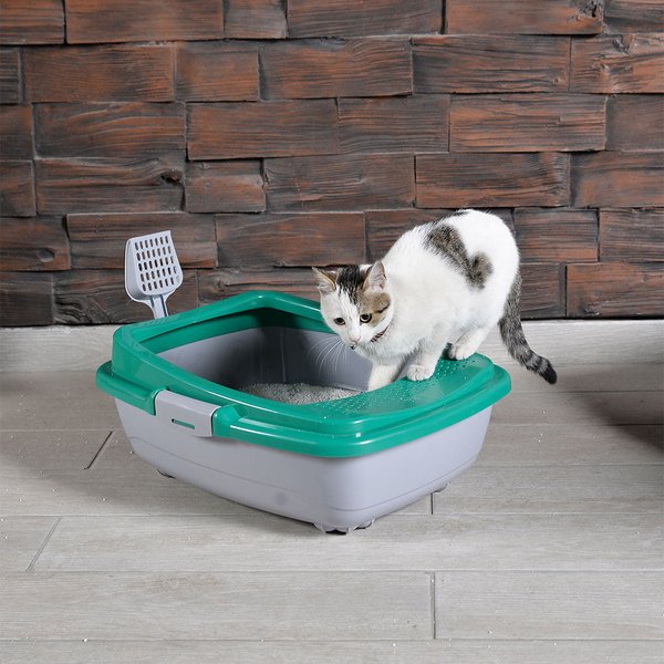 Mestore Kedi Kumları