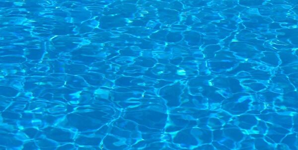 Kanki Pet Akvaryum Dekoratif Malzemeler