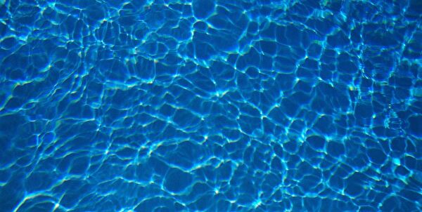 Kanki Pet Akvaryum Dekoratif Malzemeler