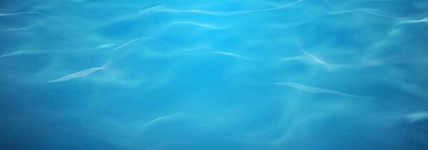 Kanki Pet Akvaryum Dekoratif Malzemeler