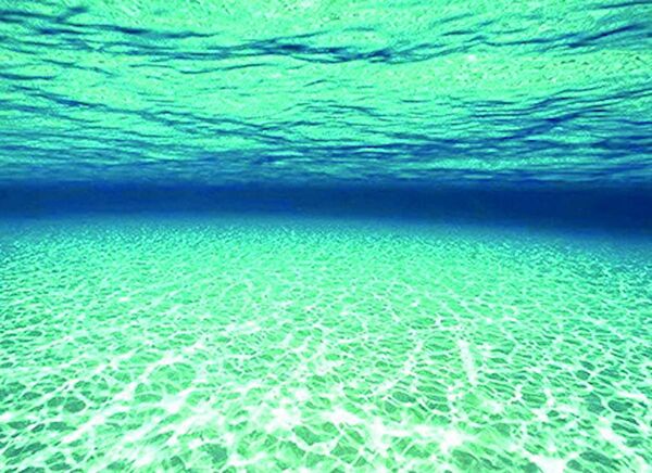 Kanki Pet Akvaryum Dekoratif Malzemeler