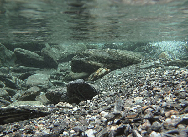 Kanki Pet Akvaryum Dekoratif Malzemeler