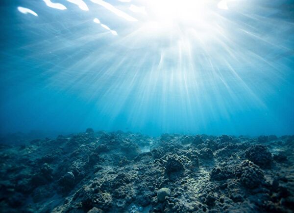 Kanki Pet Akvaryum Dekoratif Malzemeler