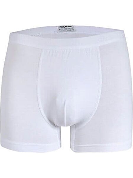 Ay Yıldız Erkek Boxer, Slip, Külot