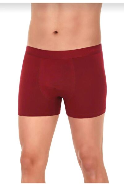 Ay Yıldız Erkek Boxer, Slip, Külot