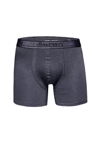 Saran Erkek Boxer, Slip, Külot