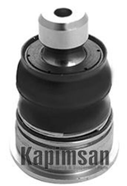 KAPIMSAN Rotil