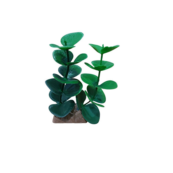 Kanki Pet Akvaryum Dekoratif Malzemeler