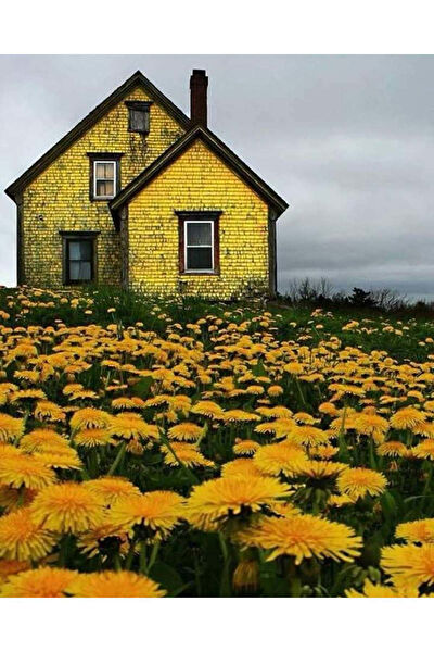 OZN AKSESUAR Kanvas Tablo