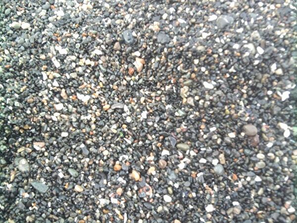 Kanki Pet Akvaryum Dekoratif Malzemeler