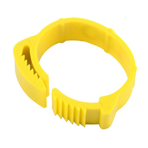 Karahisar Kuluçka Kuş Oyuncakları