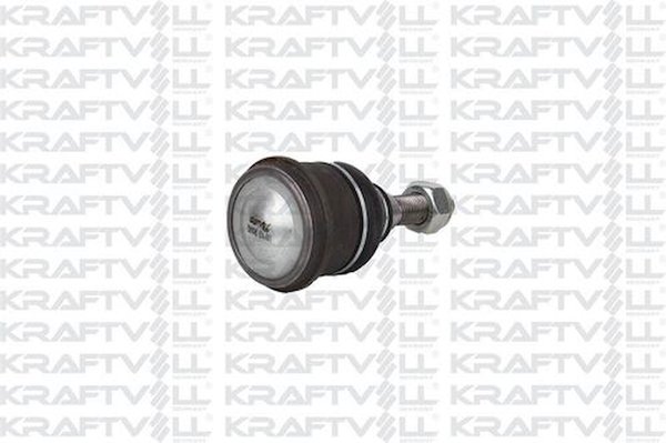 Kraftvoll Rotil