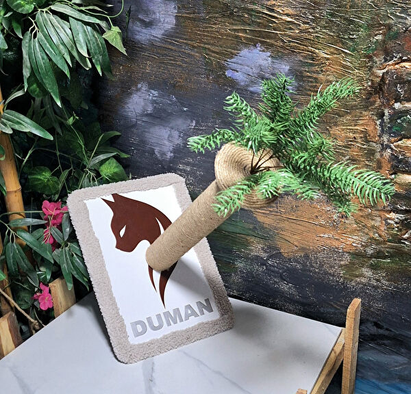 woodvia Kedi Tırmalama