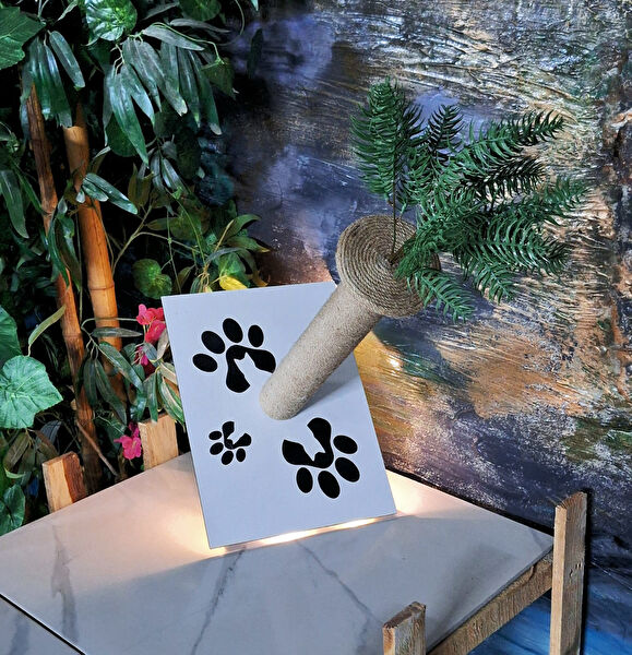 woodvia Kedi Tırmalama