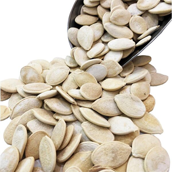 AKTARCINIZ Çekirdek