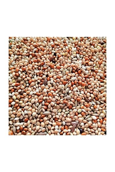 Eslem Tohumculuk Kuş Yemi, Kraker