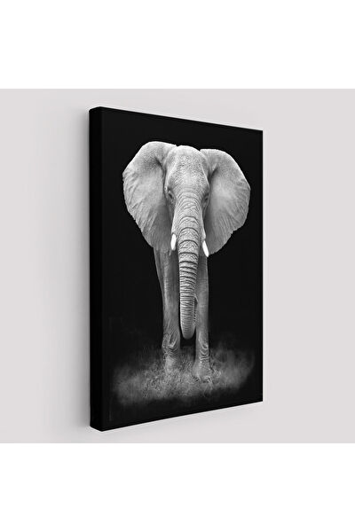 Kanvassepetinet Kanvas Tablo