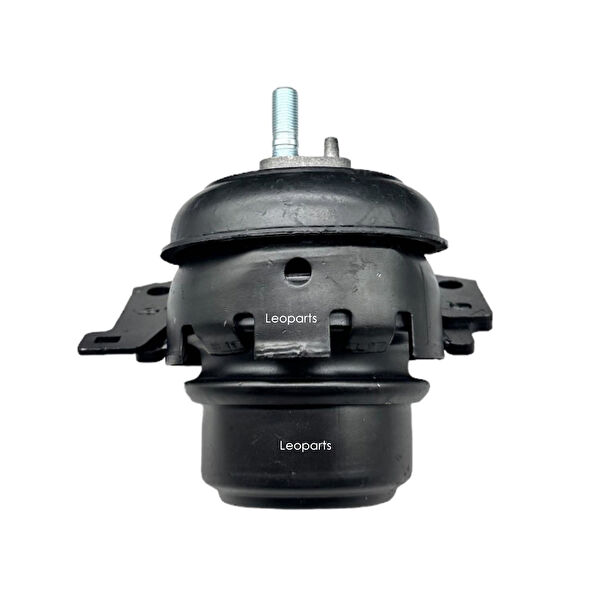 Leoparts Motor Takozu