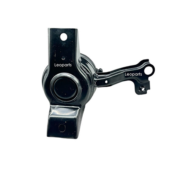 Leoparts Motor Takozu