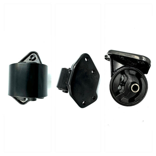 Leoparts Motor Takozu