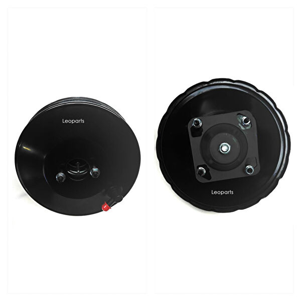 Leoparts Westinghouse