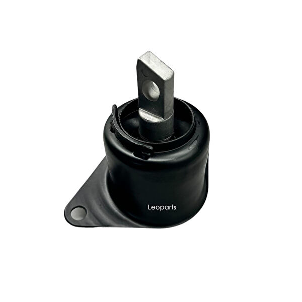 Leoparts Motor Takozu