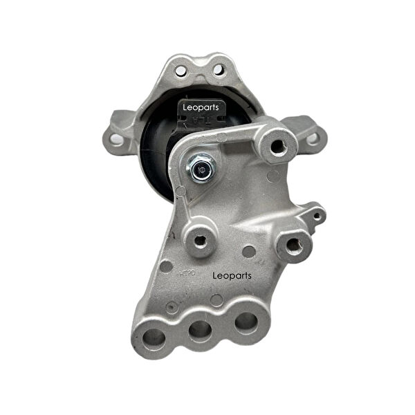 Leoparts Motor Takozu