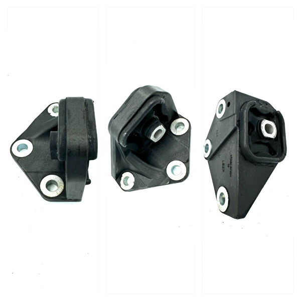 Leoparts Motor Takozu