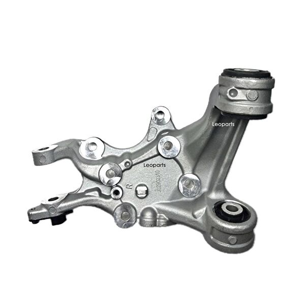 Leoparts Aks Körük & Kafası