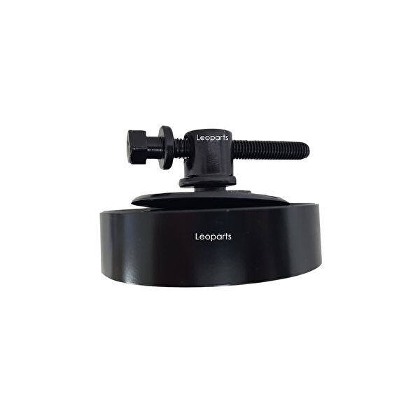 Leoparts Alternatör Rulmanı