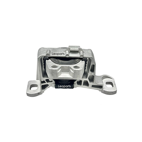 Leoparts Motor Takozu