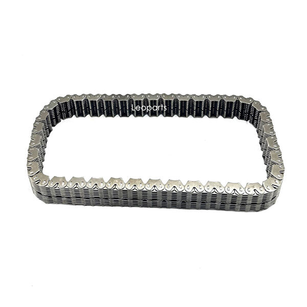 Leoparts Eksantrik Zinciri