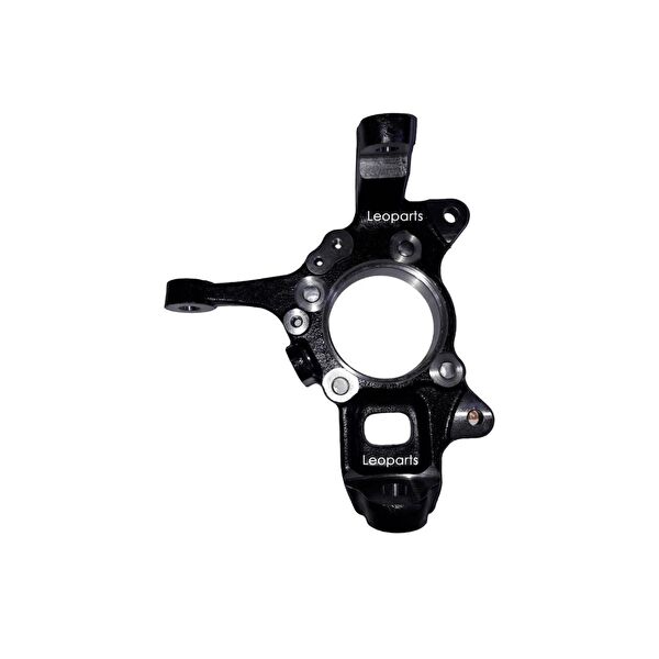 Leoparts Aks Körük & Kafası