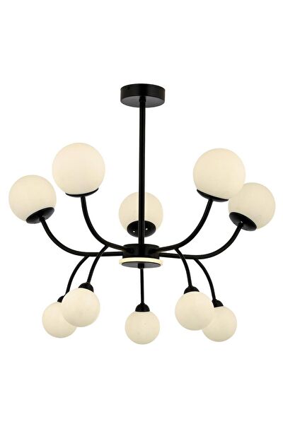 Avonni Avize, Sarkıt