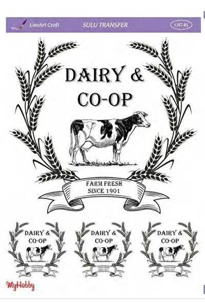 MyHobby Yardımcı Sanat Ürünleri