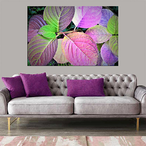 LUNAVİSORE Kanvas Tablo