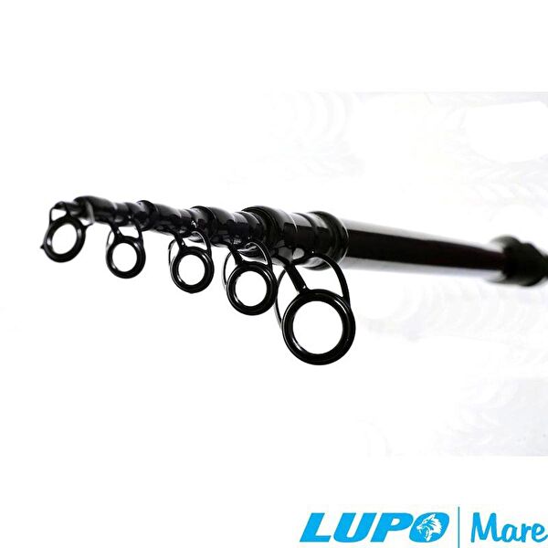 Lupo Olta, Kamış Setleri