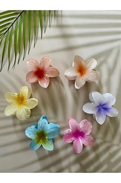 DZC KUZENLER AVM Kadın Saç Tokaları ve Yüzükleri