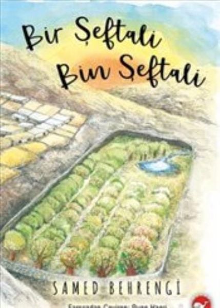 Lisinya Aktivite ve Zeka Gelişim Kitapları