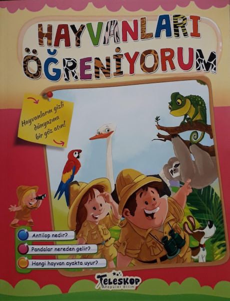 Lisinya Aktivite ve Zeka Gelişim Kitapları