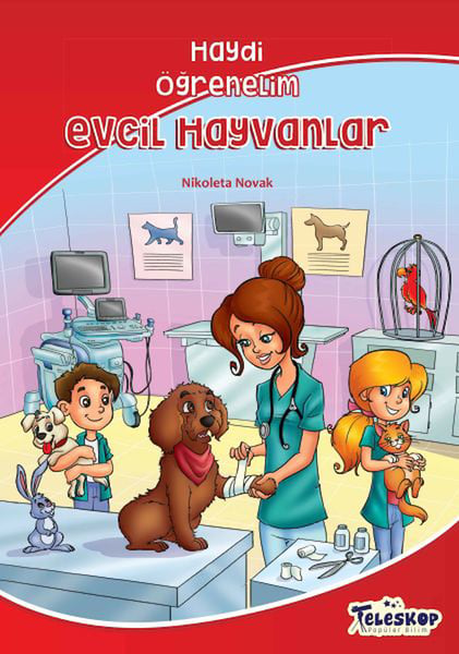 Lisinya Aktivite ve Zeka Gelişim Kitapları