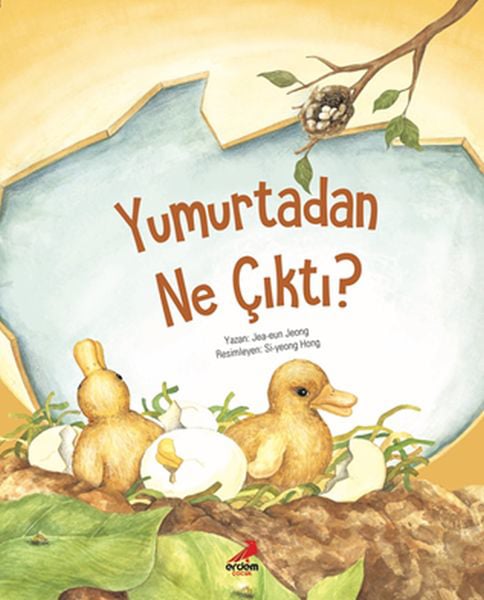 Lisinya Aktivite ve Zeka Gelişim Kitapları
